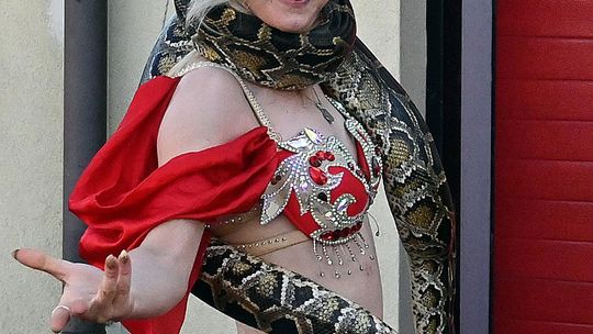 Radosne Święto Pieczonego Ziemniaka w Wólce Kańskiej [GALERIA ZDJĘĆ]