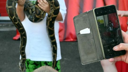 Radosne Święto Pieczonego Ziemniaka w Wólce Kańskiej [GALERIA ZDJĘĆ]