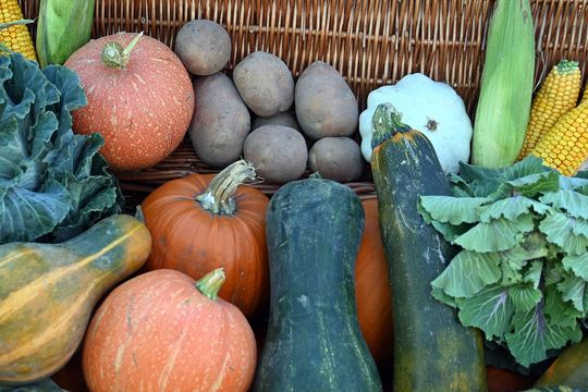 Radosne Święto Pieczonego Ziemniaka w Wólce Kańskiej [GALERIA ZDJĘĆ]