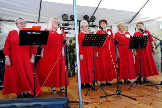 Radosne Święto Pieczonego Ziemniaka w Wólce Kańskiej [GALERIA ZDJĘĆ]