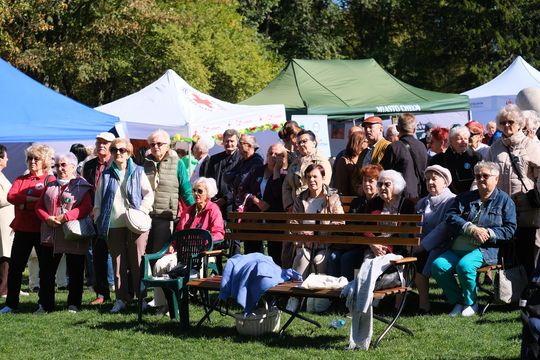 Chełmskie Senioralia 2025 - dzień pełen wrażeń i dobrej zabawy cz. II  [GALERIA ZDJĘĆ]