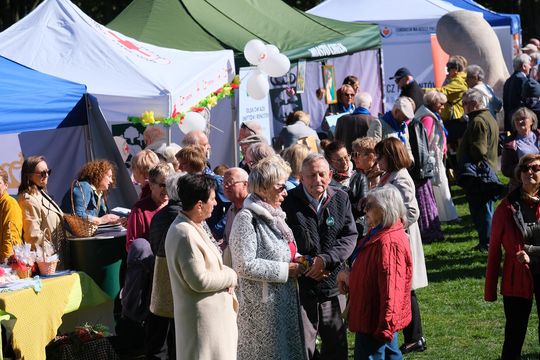 Chełmskie Senioralia 2025 - dzień pełen wrażeń i dobrej zabawy cz. II  [GALERIA ZDJĘĆ]