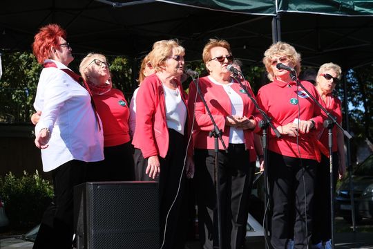 Chełmskie Senioralia 2025 - dzień pełen wrażeń i dobrej zabawy cz. II  [GALERIA ZDJĘĆ]