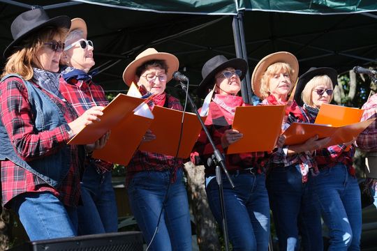 Chełmskie Senioralia 2025 - dzień pełen wrażeń i dobrej zabawy cz. II  [GALERIA ZDJĘĆ]