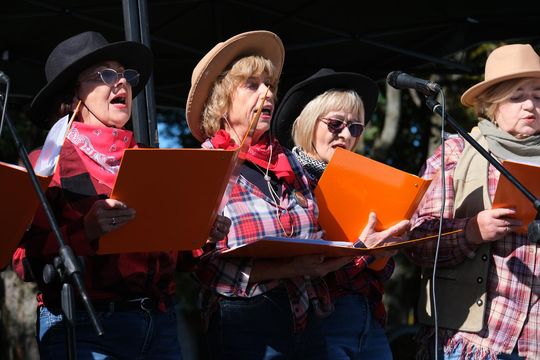 Chełmskie Senioralia 2025 - dzień pełen wrażeń i dobrej zabawy cz. II  [GALERIA ZDJĘĆ]