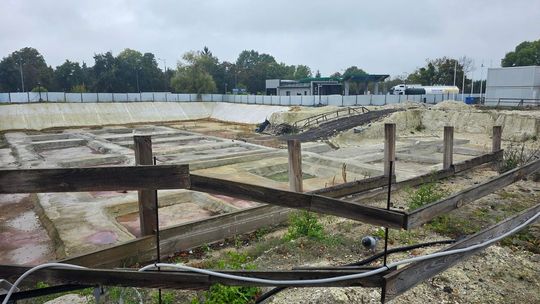 Chełm. Dziura w ziemi zamiast Fabryki. Konferencja prasowa z udziałem Mateusza Morawieckiego [GALERIA ZDJĘĆ]