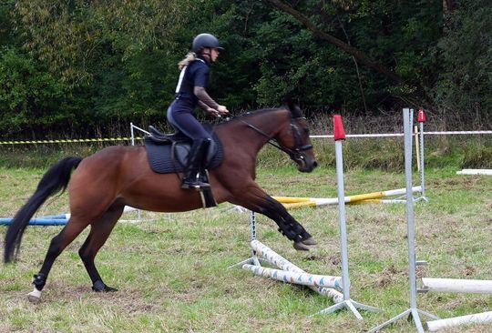 IV edycja obchodów Święta Hubertusa w Wojsławicach [GALERIA ZDJĘĆ]