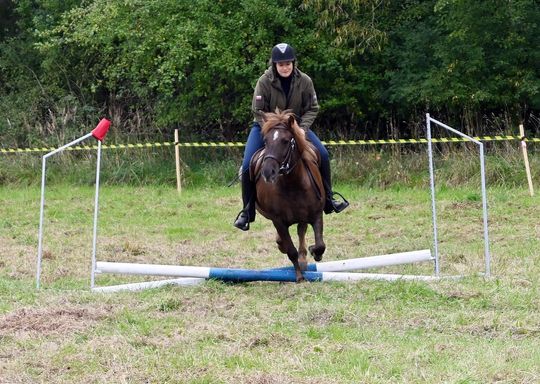 IV edycja obchodów Święta Hubertusa w Wojsławicach [GALERIA ZDJĘĆ]