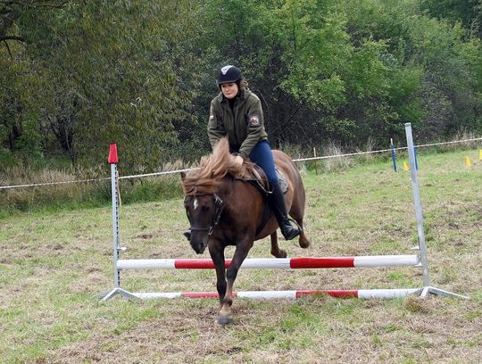 IV edycja obchodów Święta Hubertusa w Wojsławicach [GALERIA ZDJĘĆ]