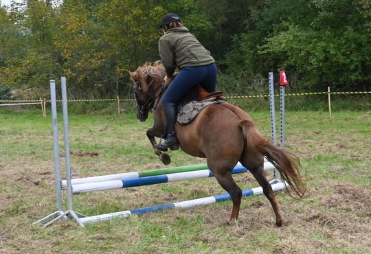 IV edycja obchodów Święta Hubertusa w Wojsławicach [GALERIA ZDJĘĆ]