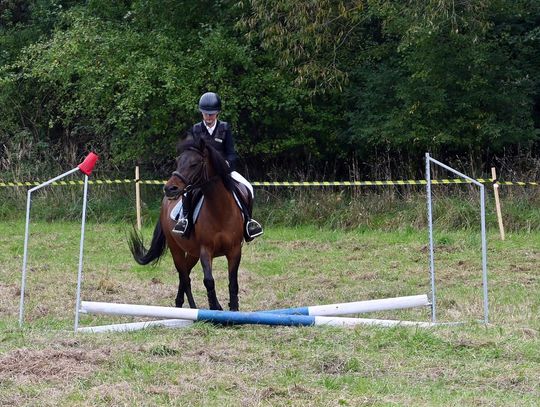 IV edycja obchodów Święta Hubertusa w Wojsławicach [GALERIA ZDJĘĆ]