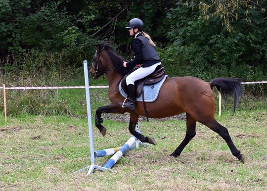 IV edycja obchodów Święta Hubertusa w Wojsławicach [GALERIA ZDJĘĆ]