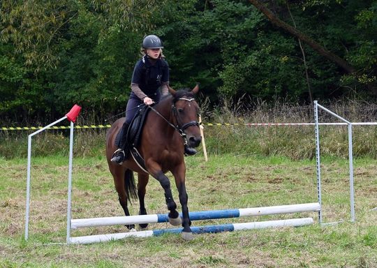 IV edycja obchodów Święta Hubertusa w Wojsławicach [GALERIA ZDJĘĆ]