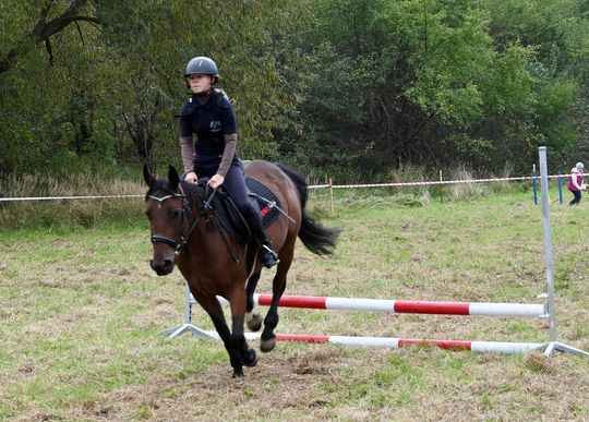 IV edycja obchodów Święta Hubertusa w Wojsławicach [GALERIA ZDJĘĆ]