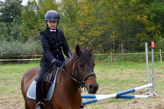 IV edycja obchodów Święta Hubertusa w Wojsławicach [GALERIA ZDJĘĆ]