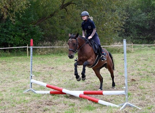 IV edycja obchodów Święta Hubertusa w Wojsławicach [GALERIA ZDJĘĆ]