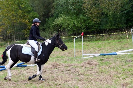 IV edycja obchodów Święta Hubertusa w Wojsławicach [GALERIA ZDJĘĆ]
