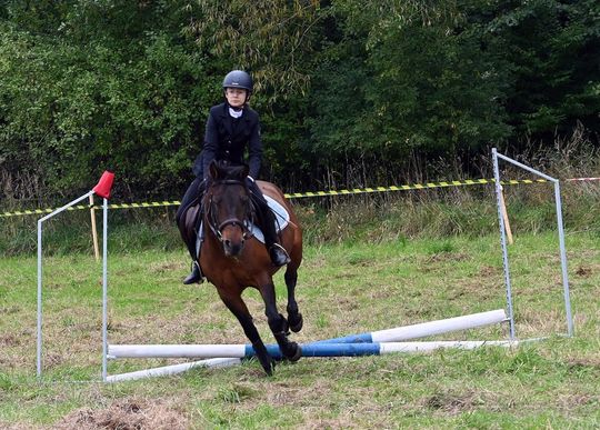 IV edycja obchodów Święta Hubertusa w Wojsławicach [GALERIA ZDJĘĆ]