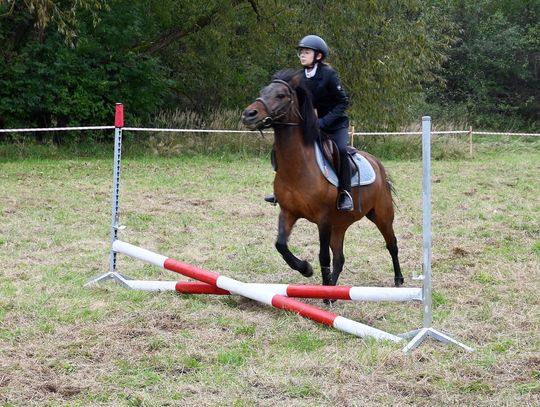 IV edycja obchodów Święta Hubertusa w Wojsławicach [GALERIA ZDJĘĆ]