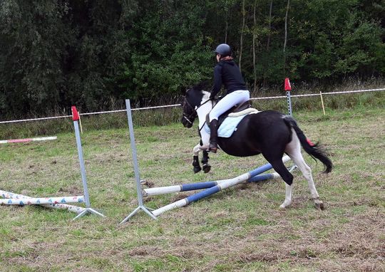 IV edycja obchodów Święta Hubertusa w Wojsławicach [GALERIA ZDJĘĆ]