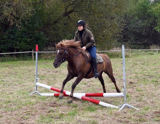 IV edycja obchodów Święta Hubertusa w Wojsławicach [GALERIA ZDJĘĆ]