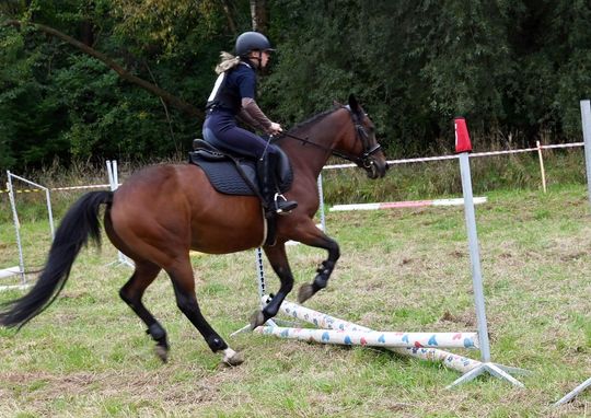 IV edycja obchodów Święta Hubertusa w Wojsławicach [GALERIA ZDJĘĆ]