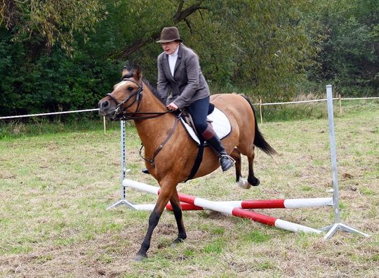 IV edycja obchodów Święta Hubertusa w Wojsławicach [GALERIA ZDJĘĆ]