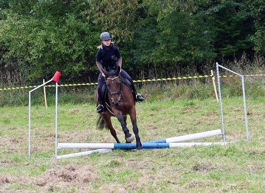 IV edycja obchodów Święta Hubertusa w Wojsławicach [GALERIA ZDJĘĆ]
