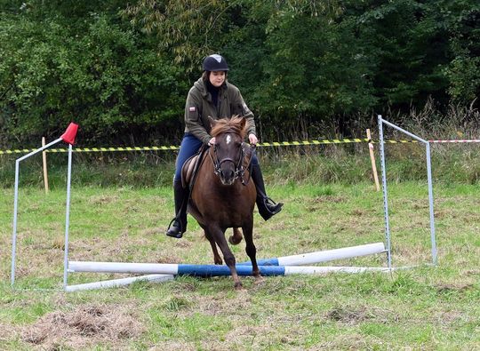 IV edycja obchodów Święta Hubertusa w Wojsławicach [GALERIA ZDJĘĆ]