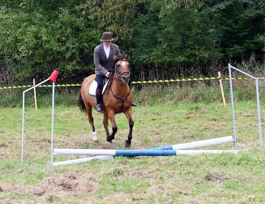 IV edycja obchodów Święta Hubertusa w Wojsławicach [GALERIA ZDJĘĆ]