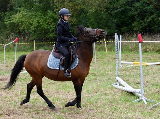 IV edycja obchodów Święta Hubertusa w Wojsławicach [GALERIA ZDJĘĆ]