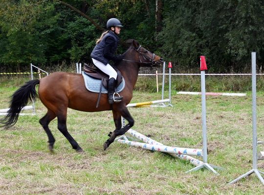 IV edycja obchodów Święta Hubertusa w Wojsławicach [GALERIA ZDJĘĆ]