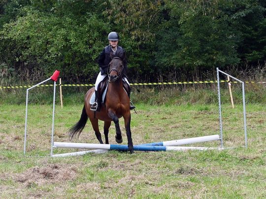 IV edycja obchodów Święta Hubertusa w Wojsławicach [GALERIA ZDJĘĆ]