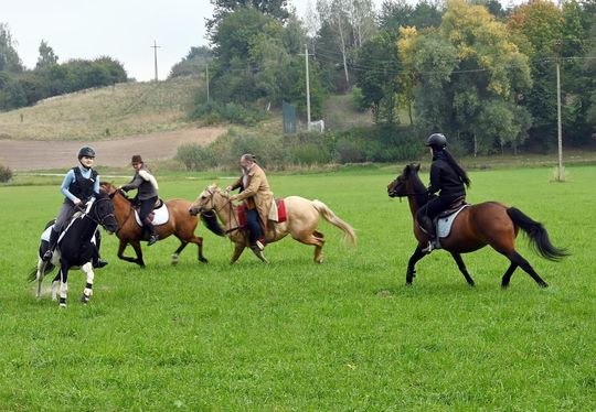 IV edycja obchodów Święta Hubertusa w Wojsławicach [GALERIA ZDJĘĆ]