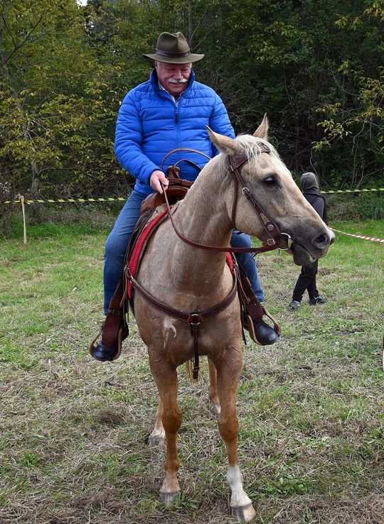 IV edycja obchodów Święta Hubertusa w Wojsławicach [GALERIA ZDJĘĆ]