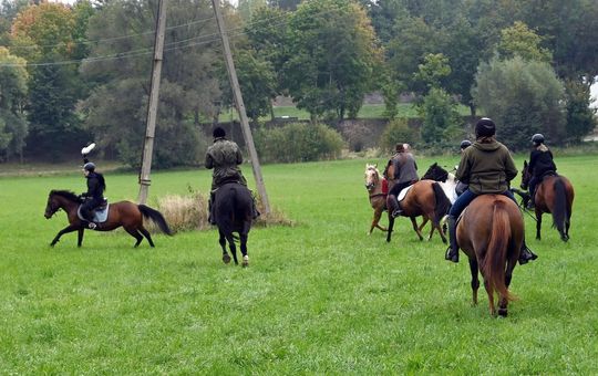 IV edycja obchodów Święta Hubertusa w Wojsławicach [GALERIA ZDJĘĆ]