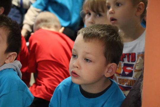 Chełm. Za 17 ton elektrośmieci – 17 nowych drzew na terenie ZSBiG [GALERIA ZDJĘĆ] 