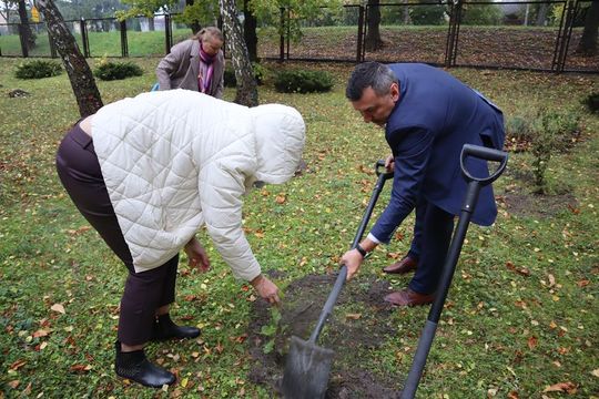 Chełm. Za 17 ton elektrośmieci – 17 nowych drzew na terenie ZSBiG [GALERIA ZDJĘĆ] 