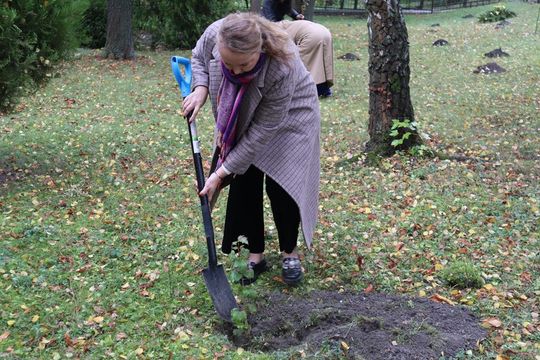 Chełm. Za 17 ton elektrośmieci – 17 nowych drzew na terenie ZSBiG [GALERIA ZDJĘĆ] 