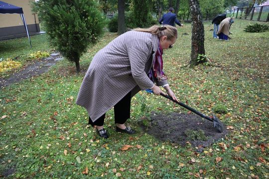 Chełm. Za 17 ton elektrośmieci – 17 nowych drzew na terenie ZSBiG [GALERIA ZDJĘĆ] 