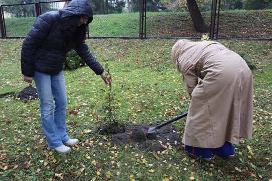 Chełm. Za 17 ton elektrośmieci – 17 nowych drzew na terenie ZSBiG [GALERIA ZDJĘĆ] 