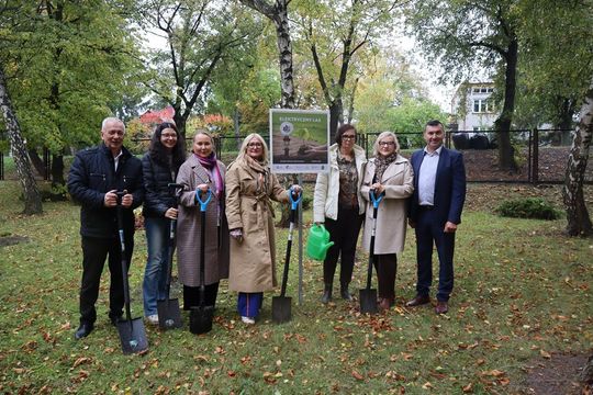 Chełm. Za 17 ton elektrośmieci – 17 nowych drzew na terenie ZSBiG [GALERIA ZDJĘĆ] 