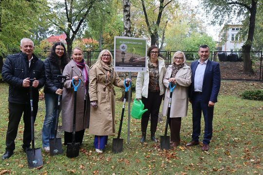 Chełm. Za 17 ton elektrośmieci – 17 nowych drzew na terenie ZSBiG [GALERIA ZDJĘĆ] 
