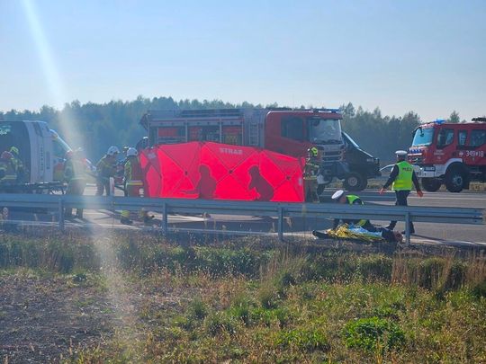 Ratowali poszkodowanych jadących autokarem. Zobaczcie symulację wypadku masowego [ZDJĘCIA]