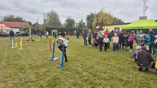 Hubertus w Horodyszczu po raz trzeci. Była gonitwa za lisem i zawody z konikami na patykach [GALERIA ZDJĘĆ]
