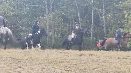 Hubertus w Horodyszczu po raz trzeci. Była gonitwa za lisem i zawody z konikami na patykach [GALERIA ZDJĘĆ]