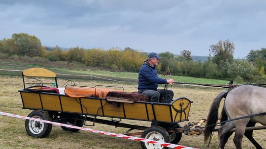 Hubertus w Horodyszczu po raz trzeci. Była gonitwa za lisem i zawody z konikami na patykach [GALERIA ZDJĘĆ]