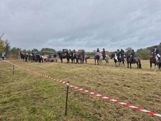 Hubertus w Horodyszczu po raz trzeci. Była gonitwa za lisem i zawody z konikami na patykach [GALERIA ZDJĘĆ]