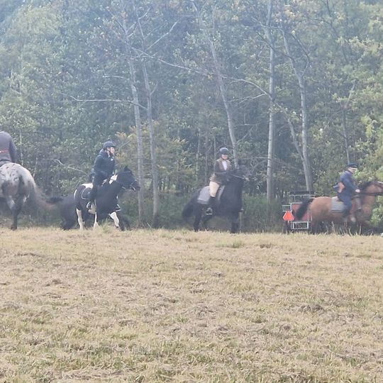 Hubertus w Horodyszczu po raz trzeci. Była gonitwa za lisem i zawody z konikami na patykach [GALERIA ZDJĘĆ]