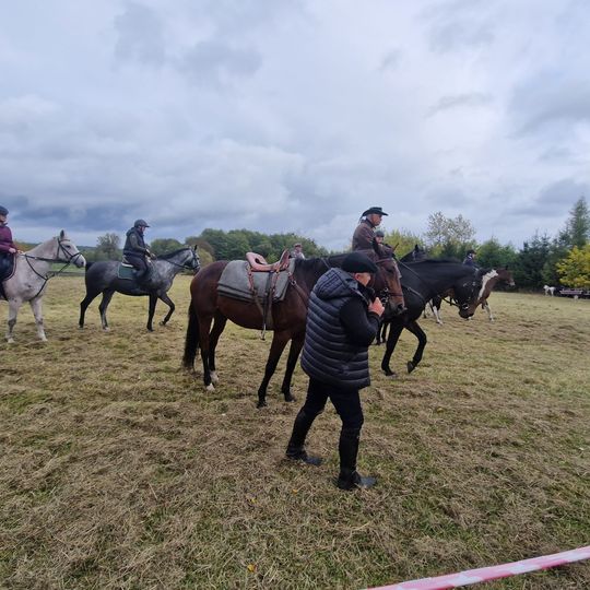 Hubertus w Horodyszczu po raz trzeci. Była gonitwa za lisem i zawody z konikami na patykach [GALERIA ZDJĘĆ]